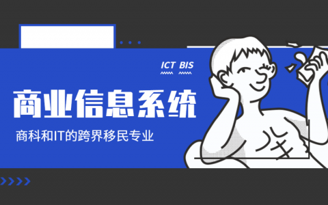 商业信息系统(ICT, BIS, Business Information System) – 商科和IT的跨界移民专业