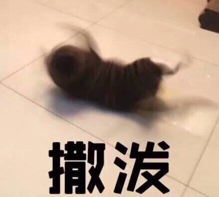 2-17