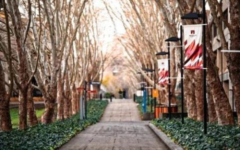 悉尼多所大学将率先恢复线下教学！为学生提供兼职机会，发放免费口罩！