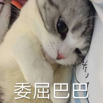UNILINK留学社区