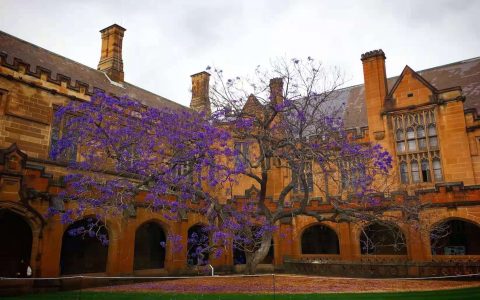 悉尼大学 USYD - Master of Digital Communication and Culture（数字传播与文化硕士）详解