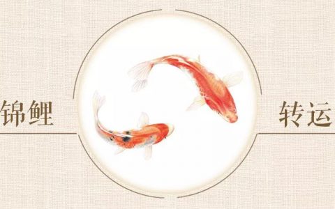 又是Final季！澳洲留学生常用的奇葩“保过大法”都有哪些？